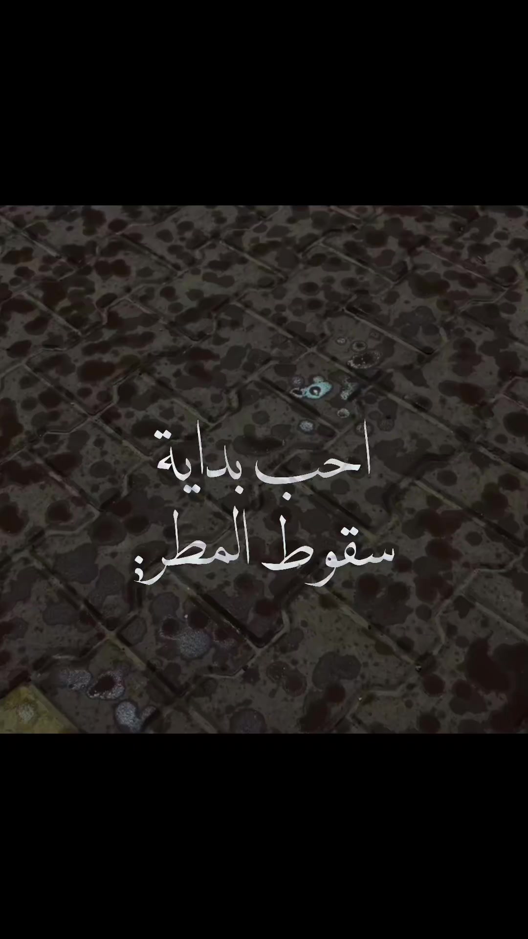 @"غيث" (مواطن شريف جداً)