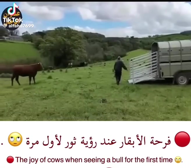 @ألأدميــــرال 𝐌𝐑-𝐗
