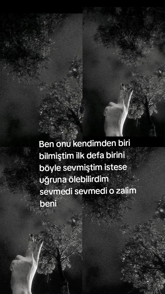 @Pelin pelinnn