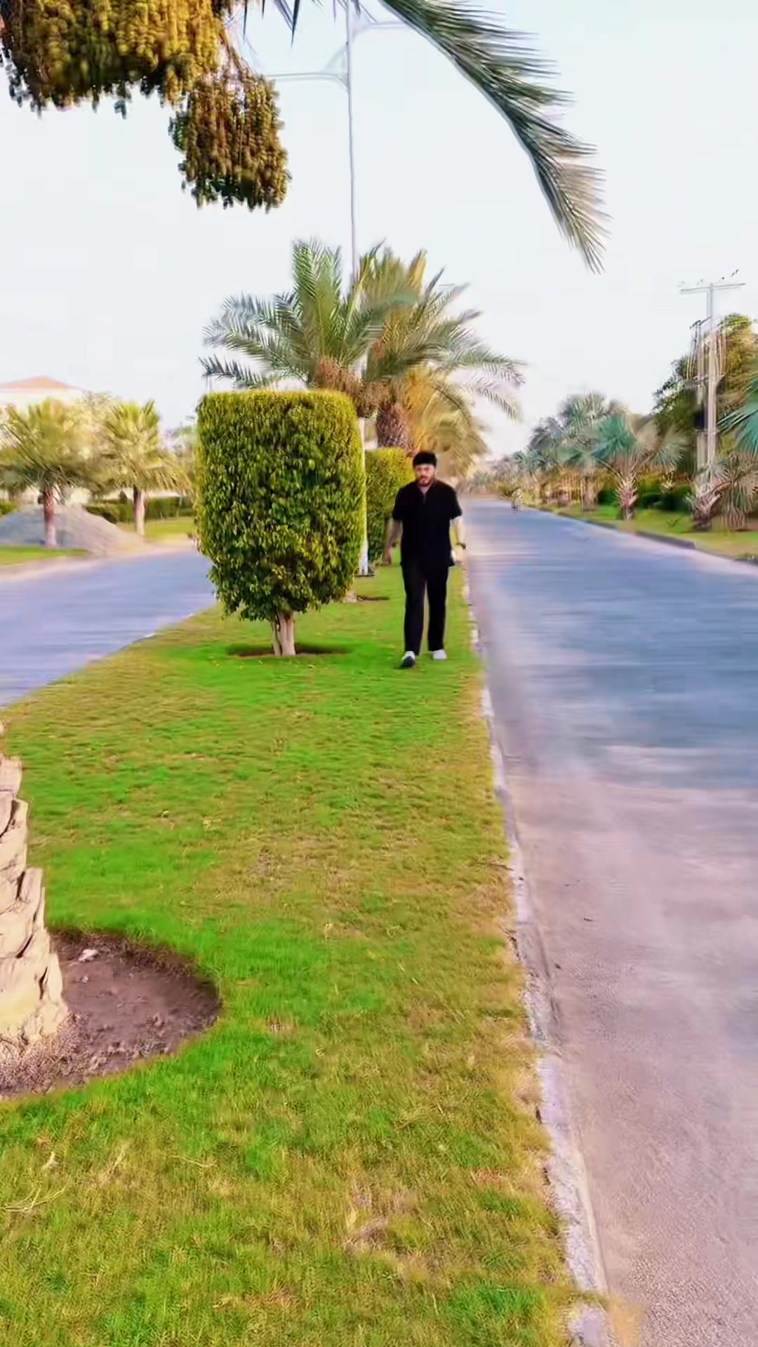 @sardarwalimuhmand