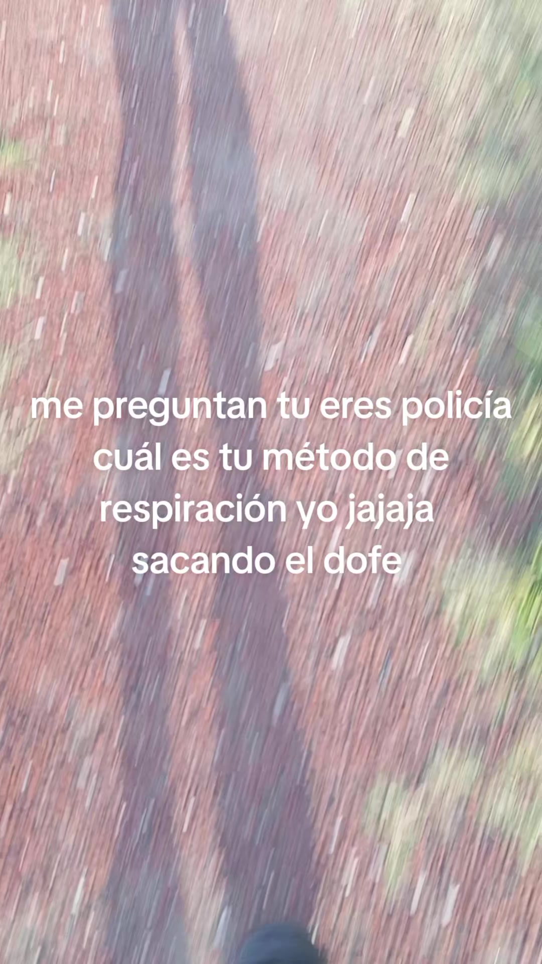 @alexperea823