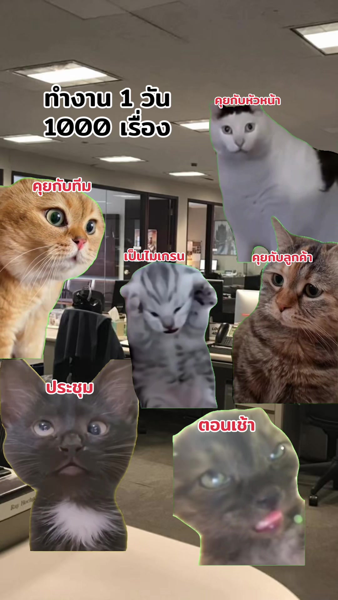 @ฮิปโปตด