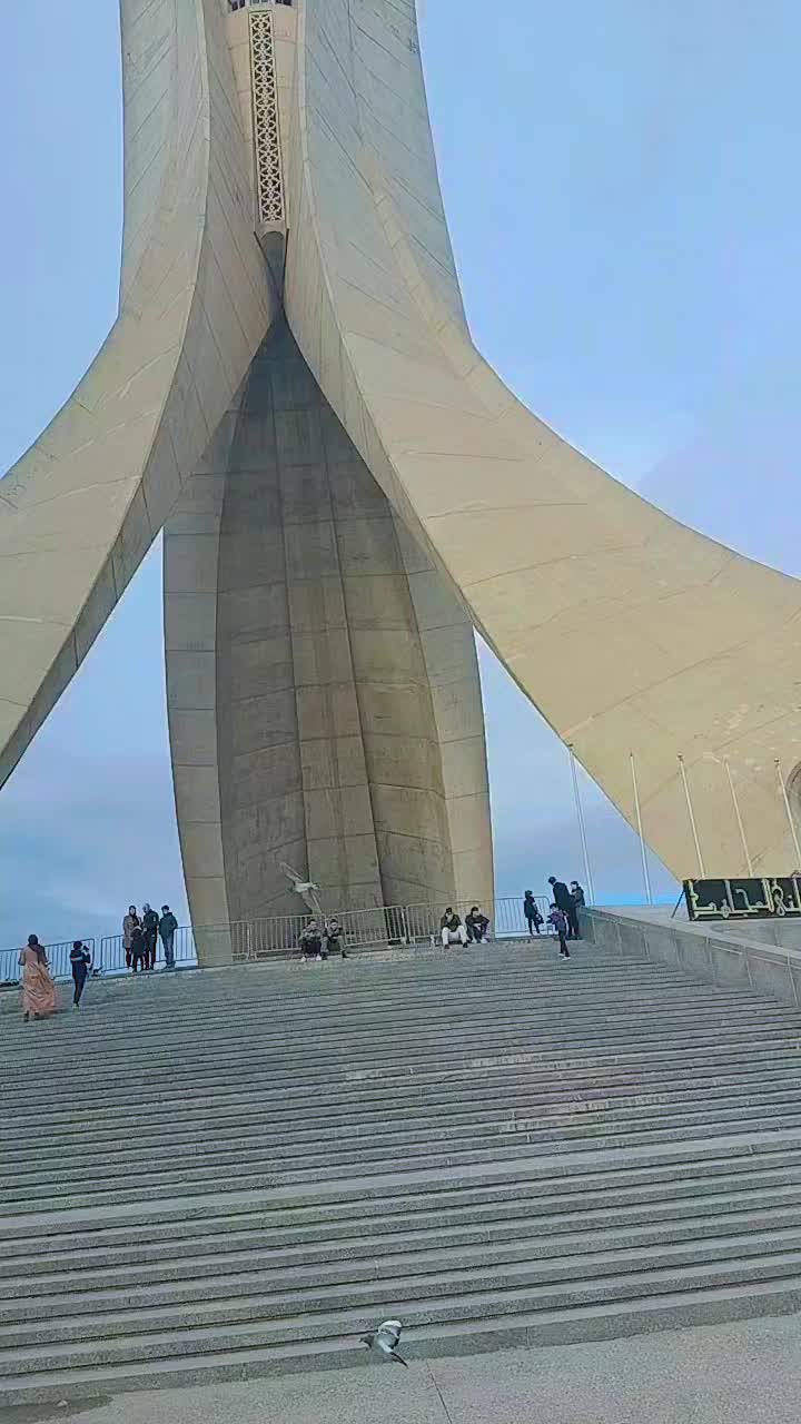 @ساعد جلفاوي