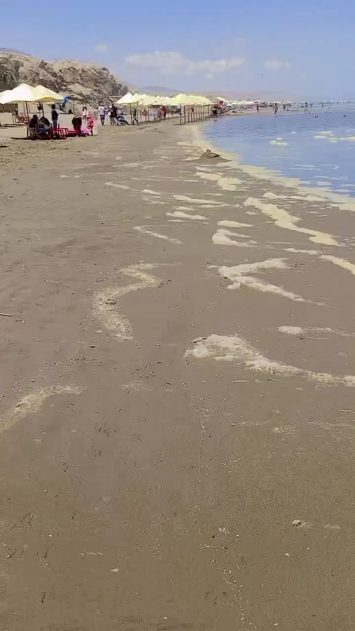 @pitufina 🍁