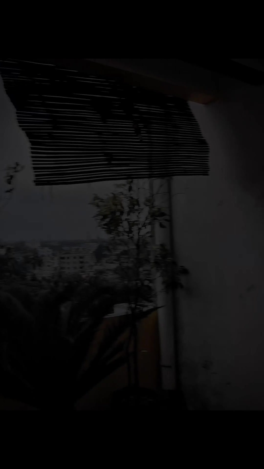 @𝔸ℝ𝕄𝔸ℕ 𝔼𝕕𝕚𝕥𝕫𝕩