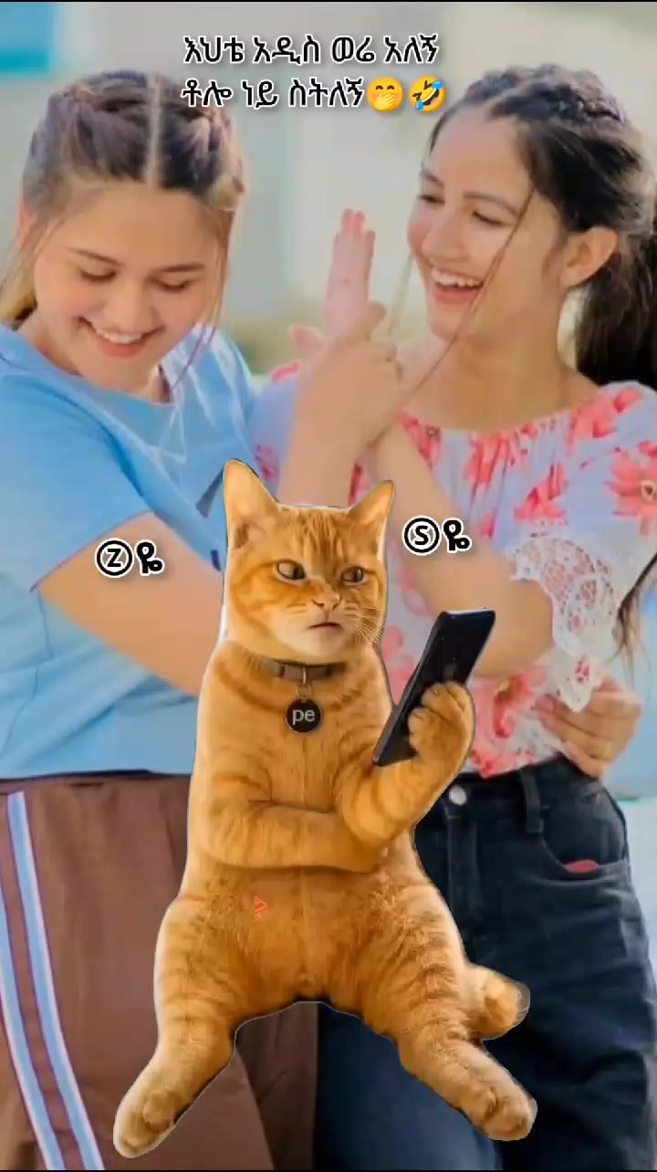 @♣Zโ แแ๐แจแแ
แญ_แฐแโฅ๏ธแฅแ
แตแแต๐
ข๏ธ๐๐
ฉ๏ธ