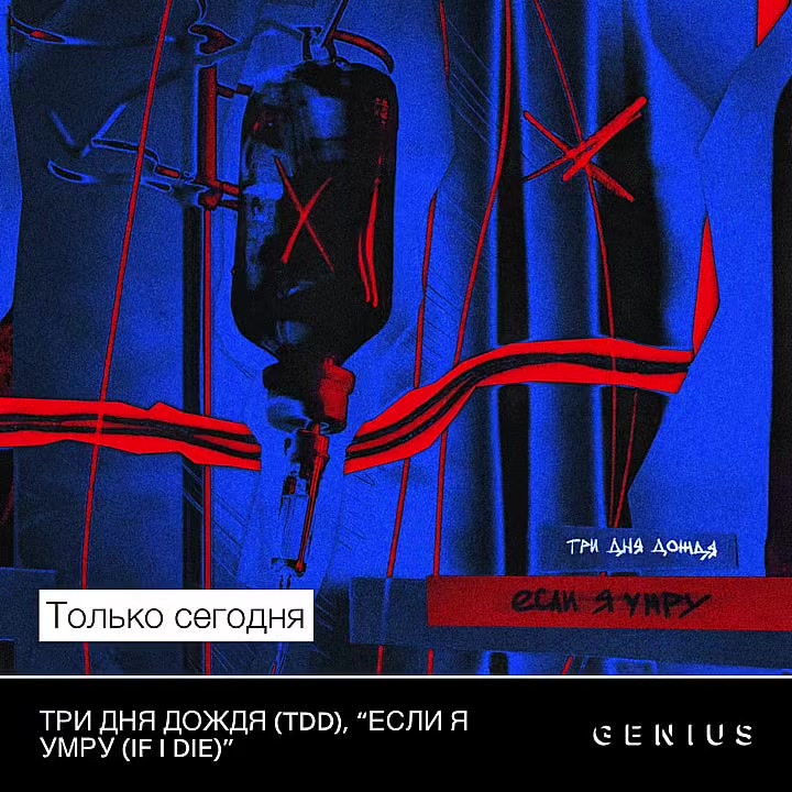 @тимурпеченька