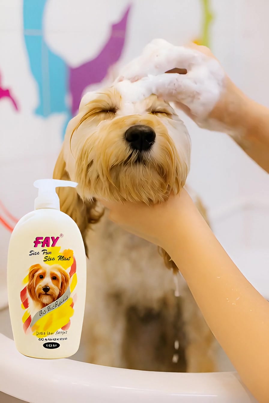 @PetCare