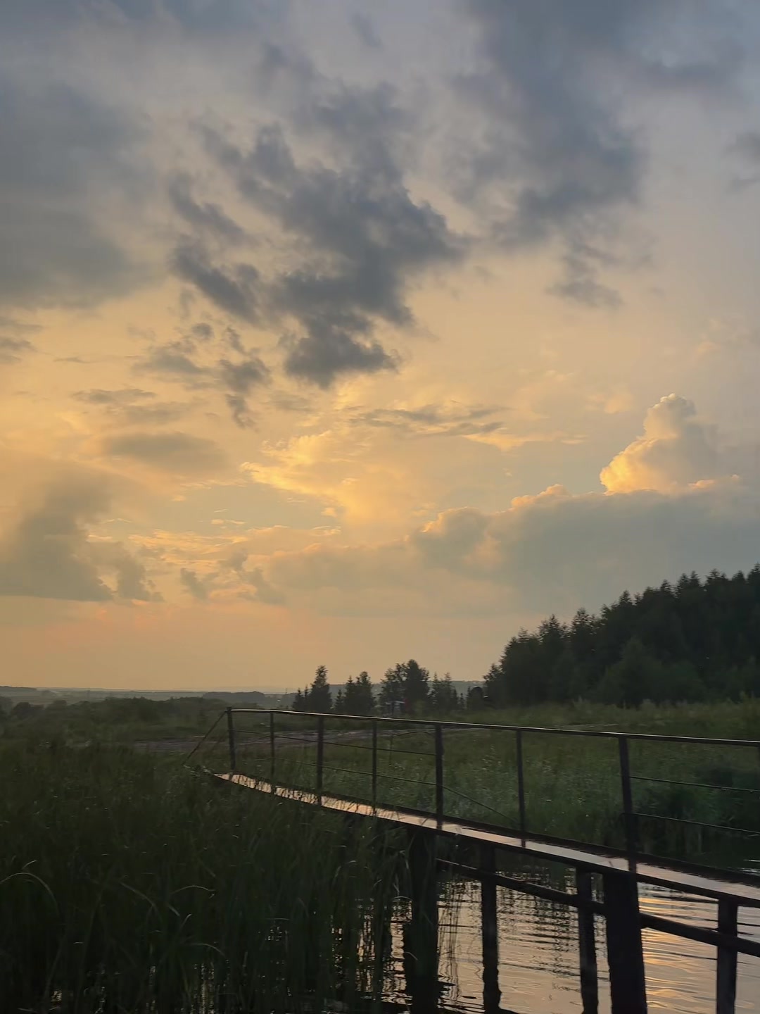 @папина