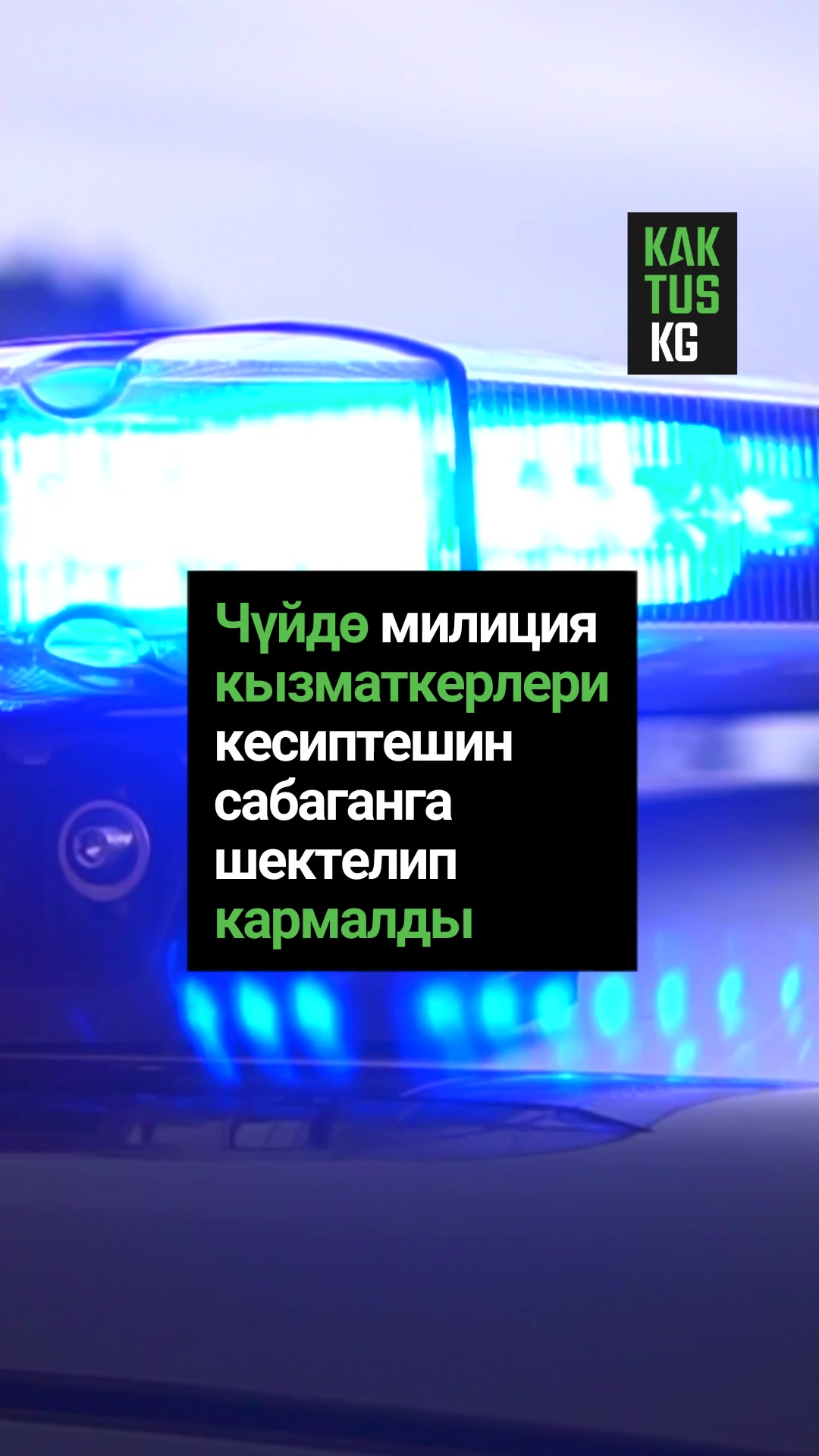 @Kaktus KG