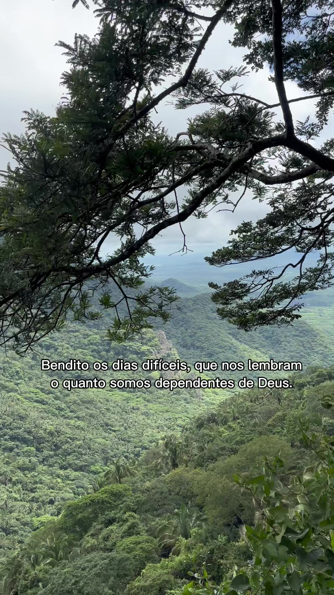 @Bella Giselly
