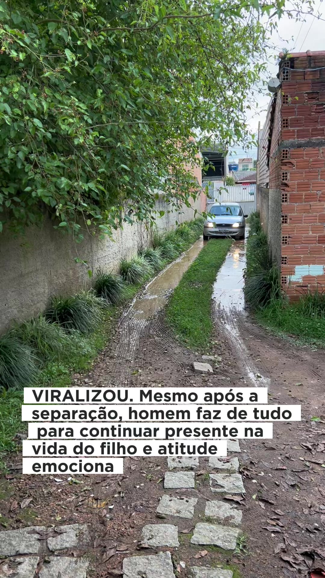 @Kauê Wutke