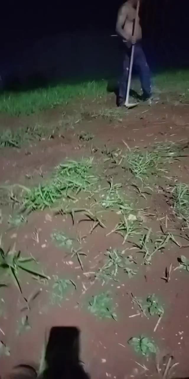 @Marina Contreras🇻🇪🇧🇷