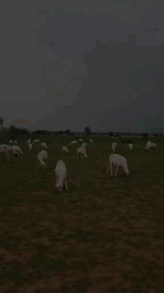 @ابوبکر🌸