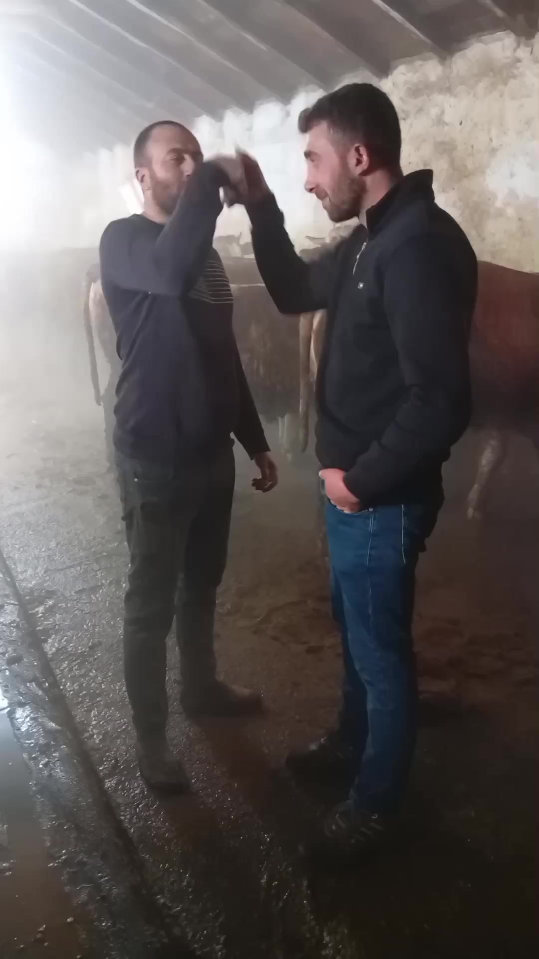 @Emre Gülmez
