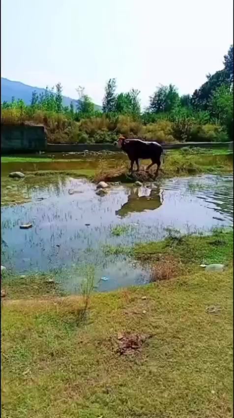 @ASAD Sarkar123