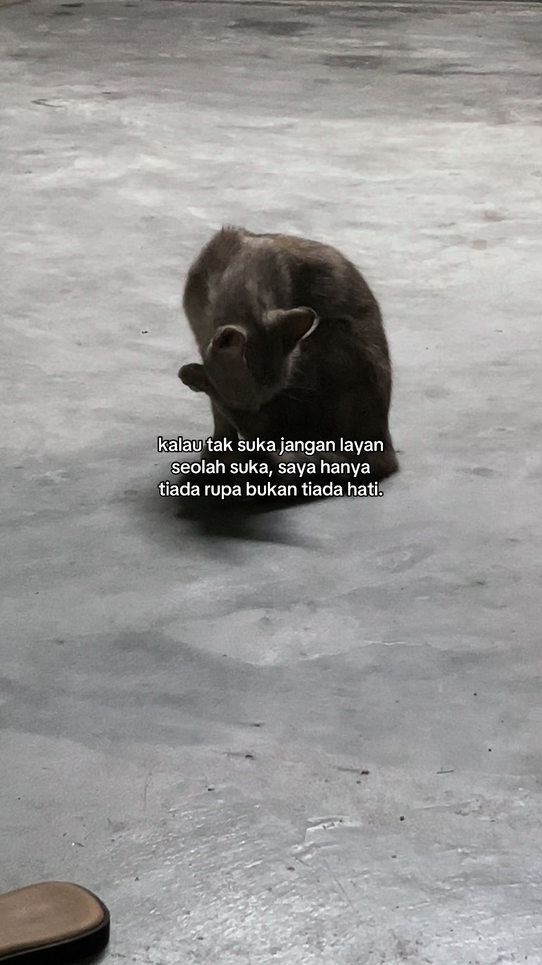 @senduvibes 🥀