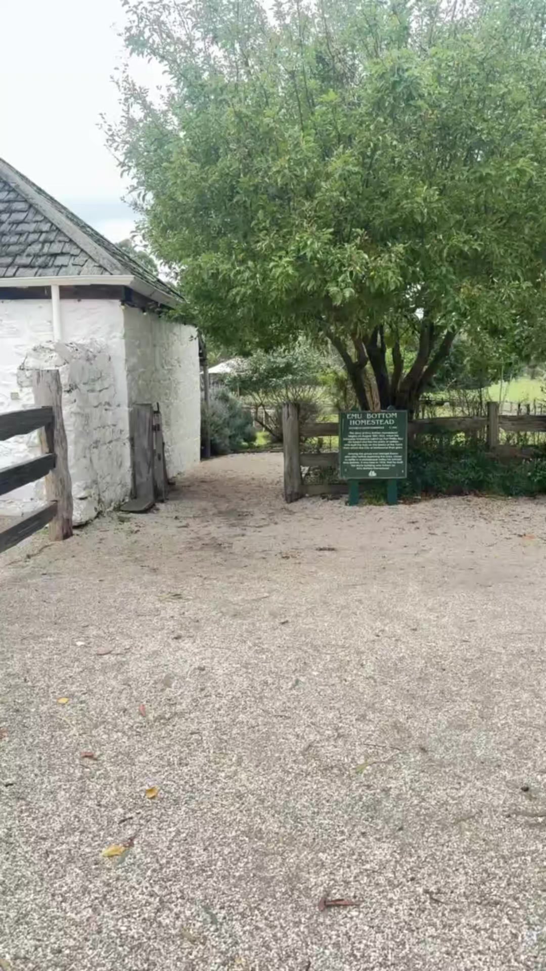 @Emu bottom homestead