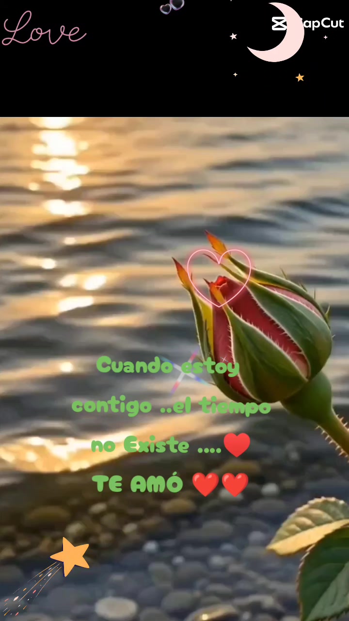 @Nikoni168