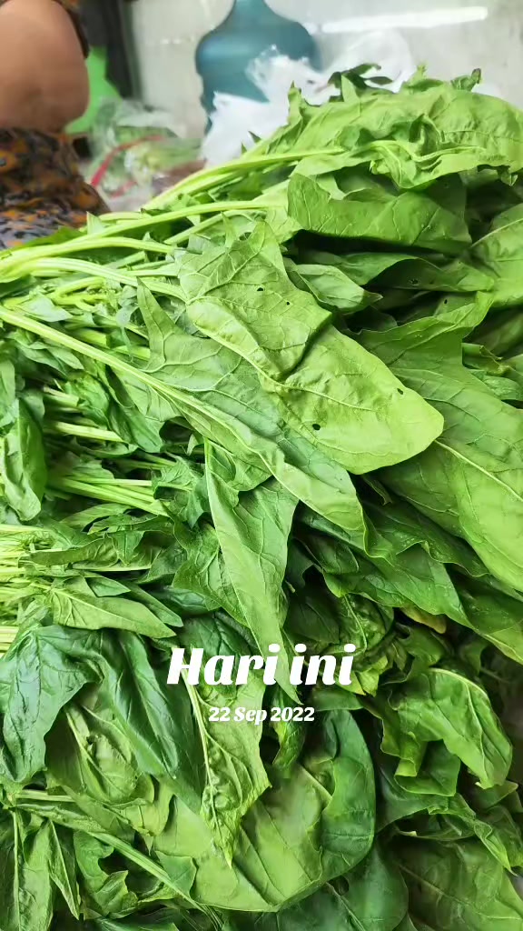@supplier sayur dan buah sby