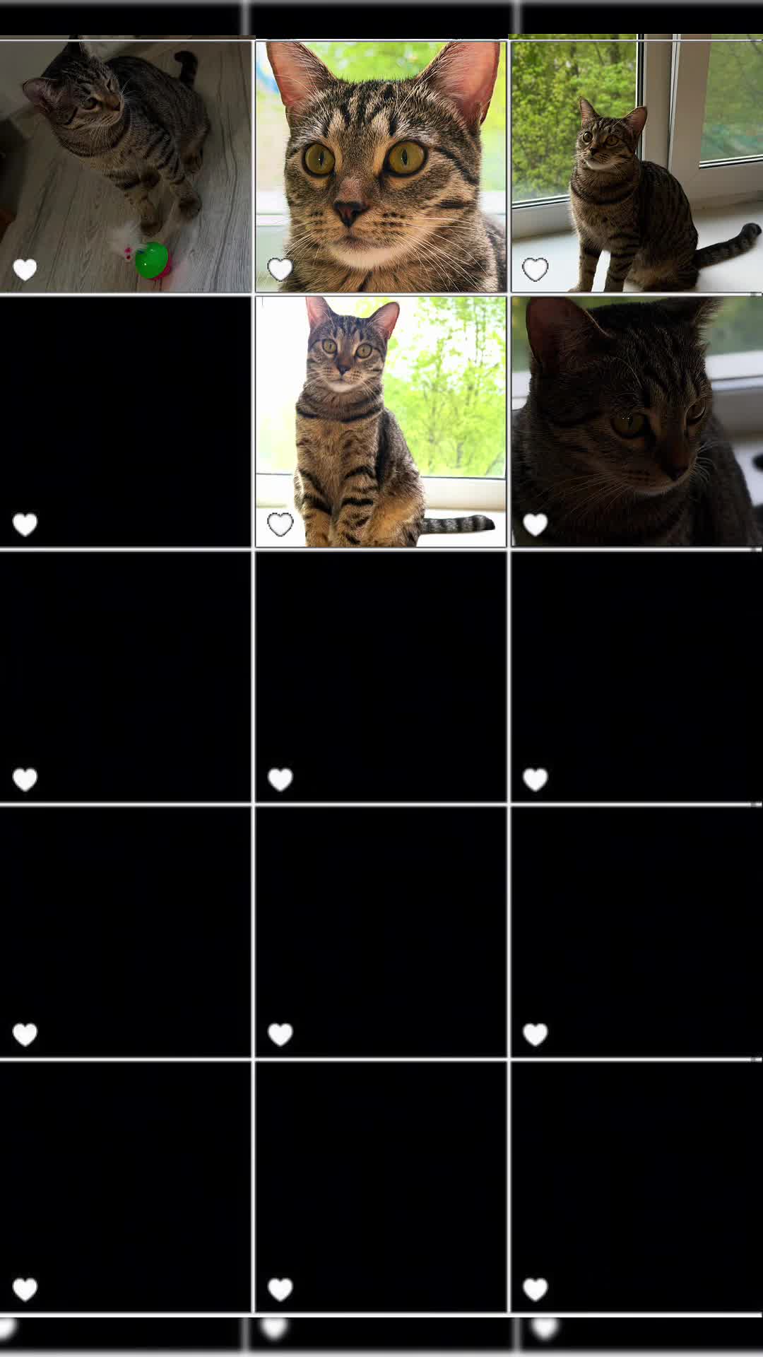 @Лиля 💕