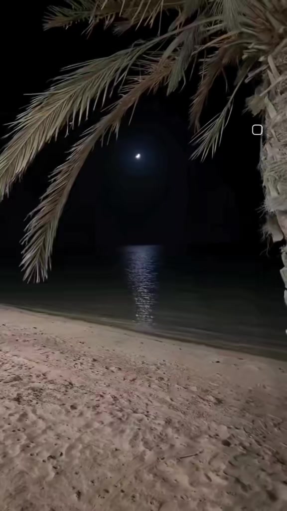 @Muhsin33
