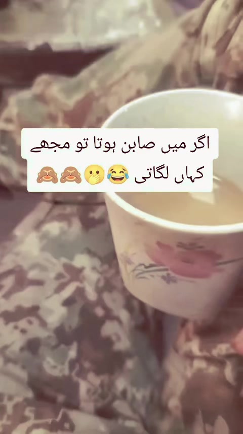@ʚ𝘊𝘢𝘱𝘵𝘢𝘪𝘯 𝘈𝘧𝘧𝘢𝘯ɞ⚔︎☠