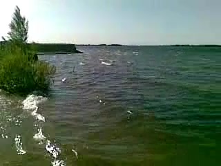 @!she zhivch