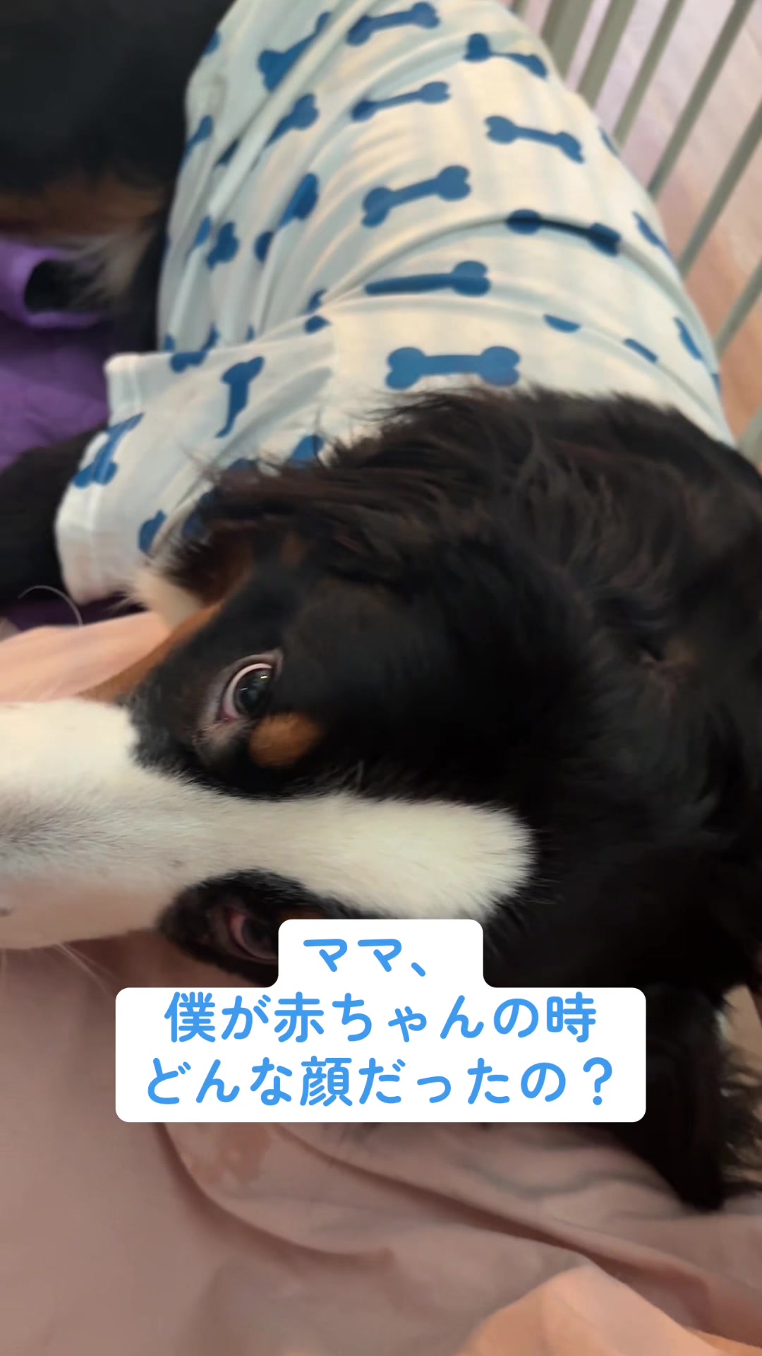 @最終兵器姫宮👿ིྀ👑ねむい