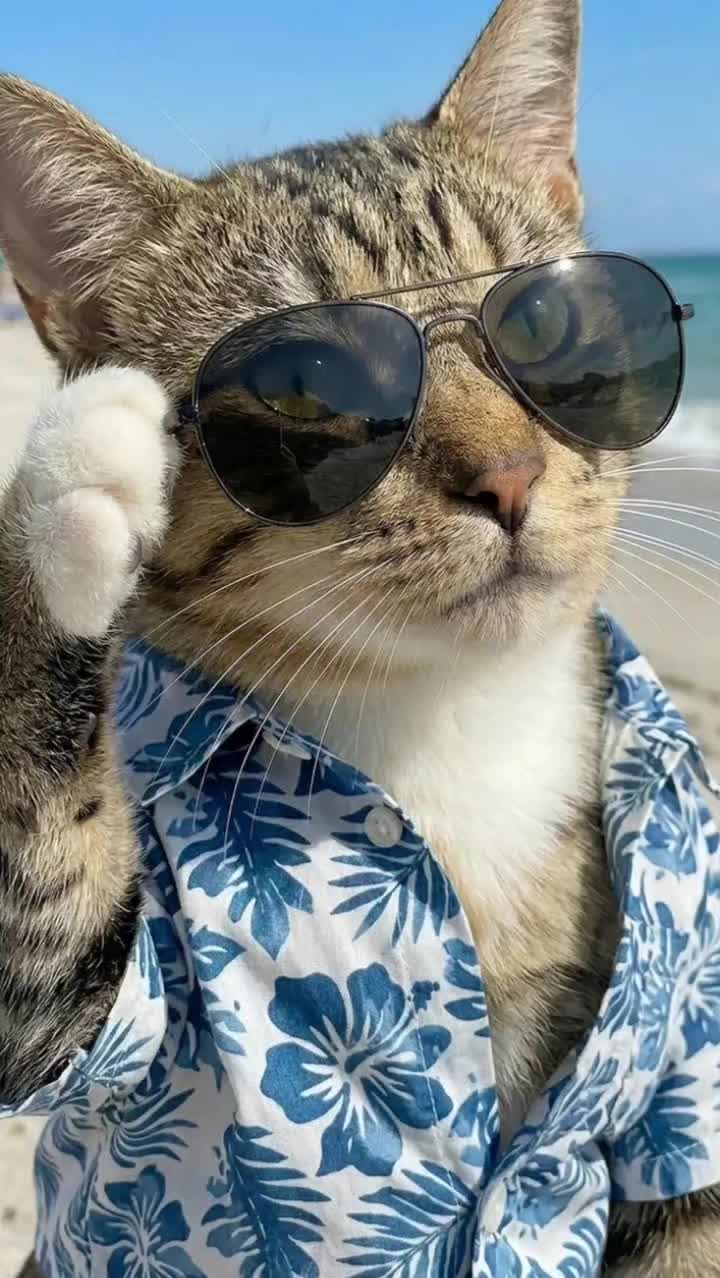 @𝒔𝒉𝒆 𝒓𝒐𝒔𝒆