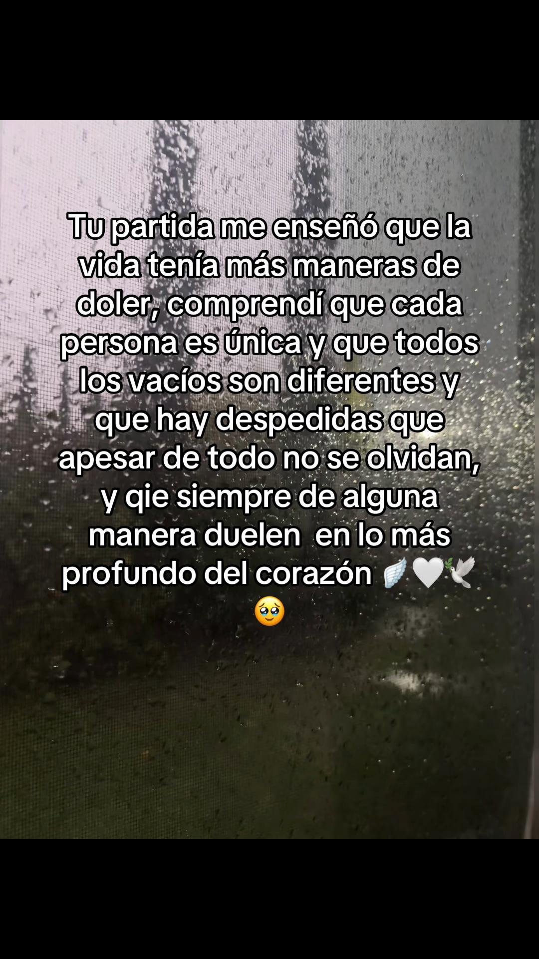 @Polito_777