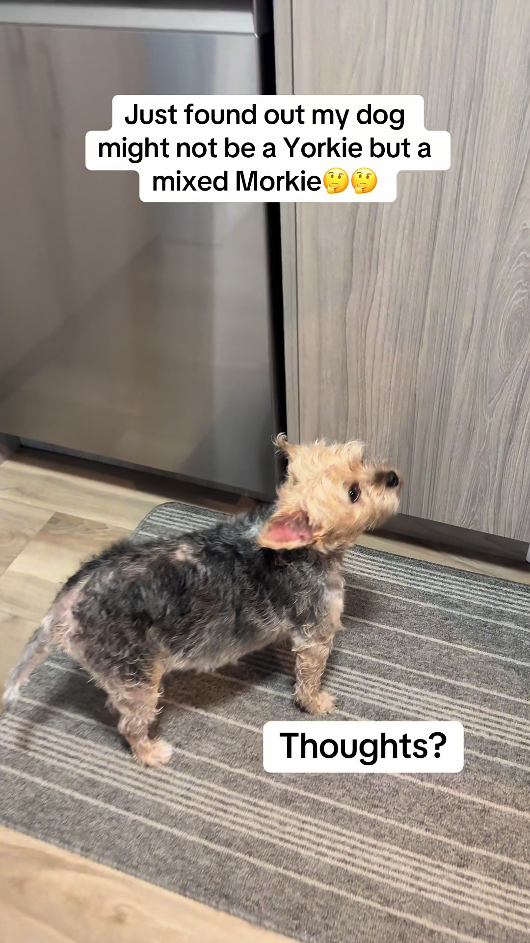@yycstreams