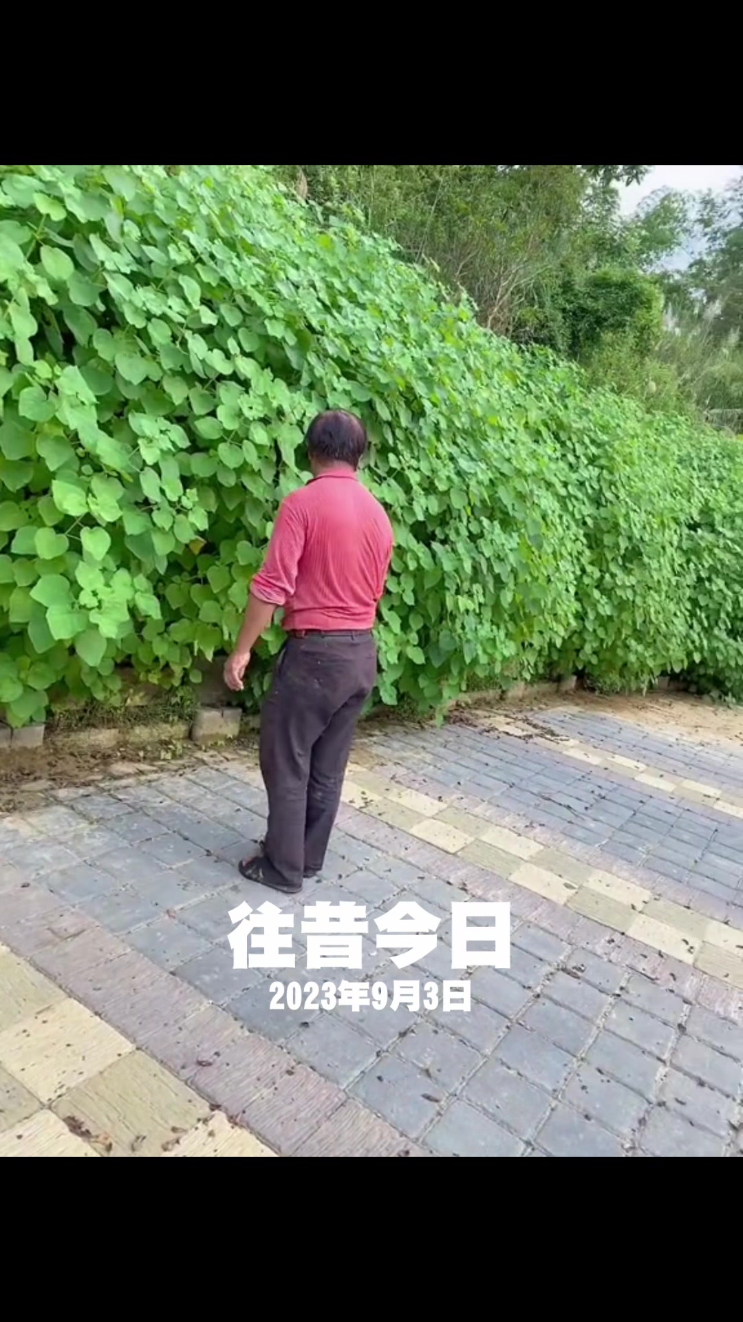 @自然~