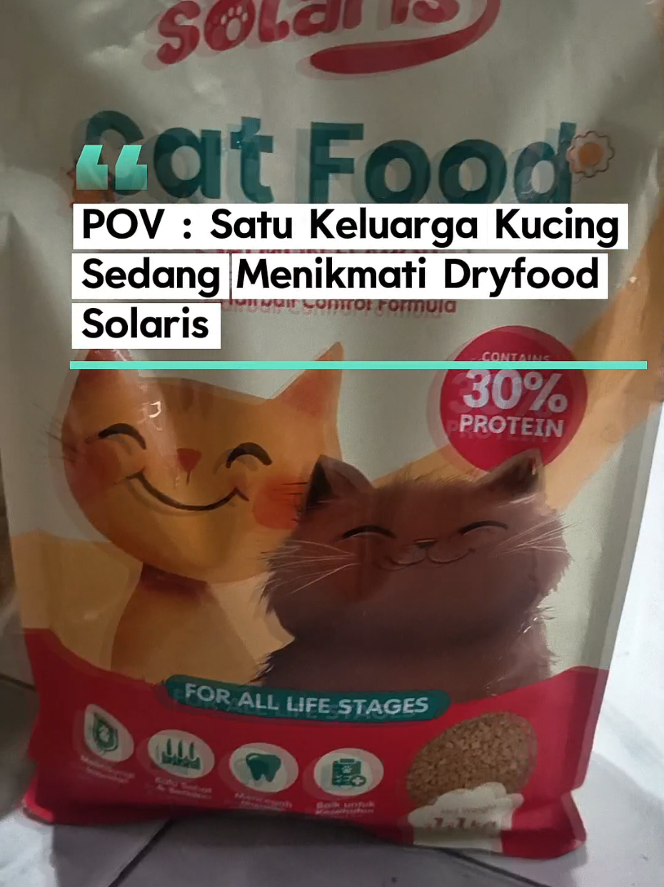 @Medayo Petcare