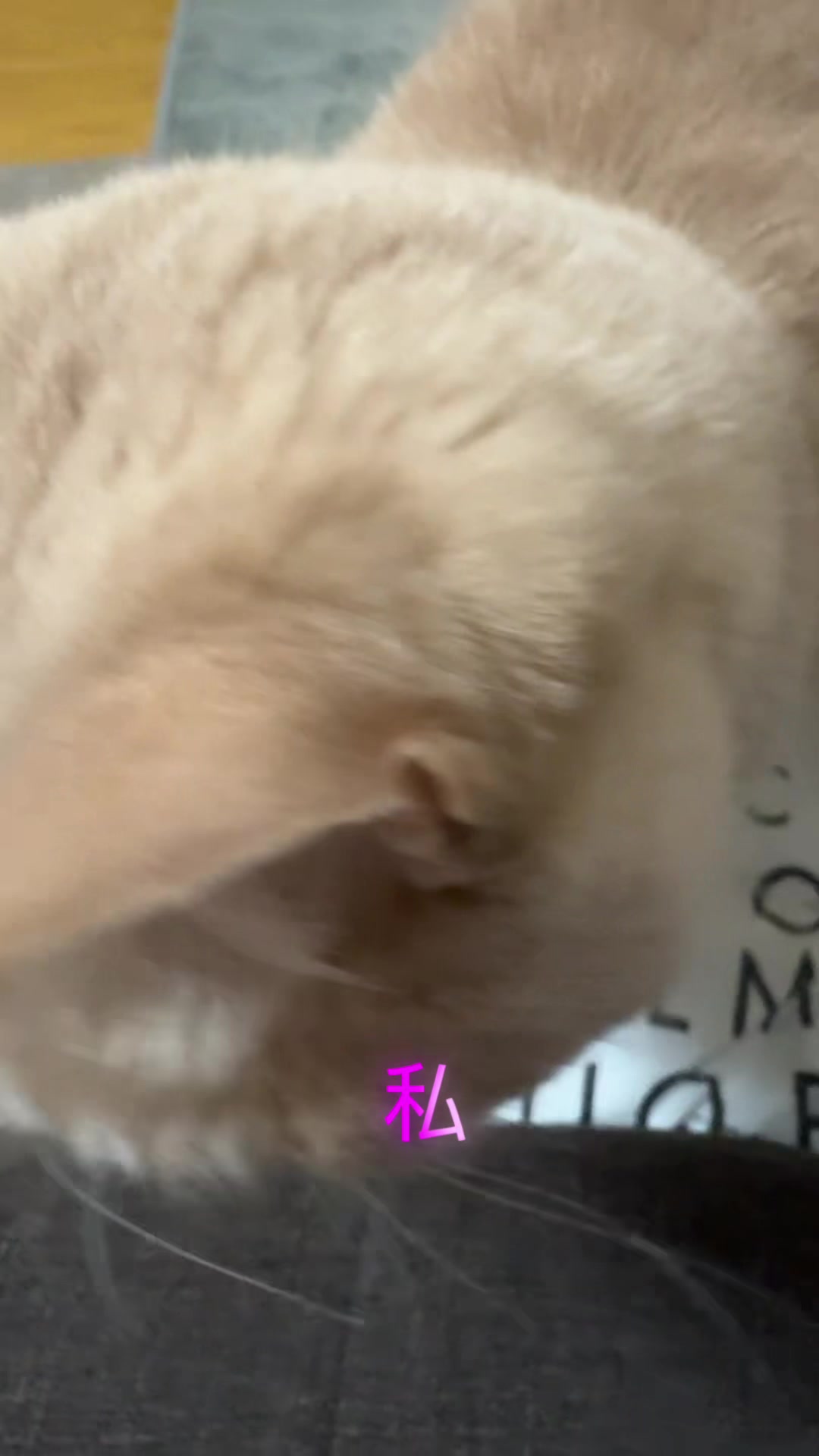 @ð«ð§ããã±ã³ðïžãããµãð§ð«