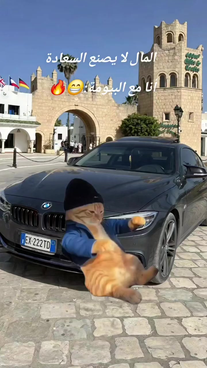 @👑 𝗕𝗠𝗪 👑
