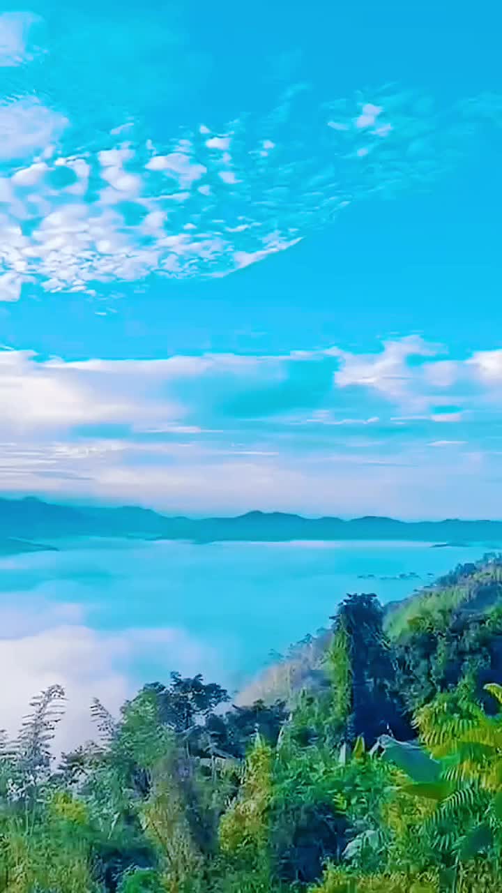 @واثقه بالله