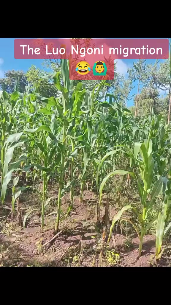 @JimJamKing🇫🇷🇺🇬