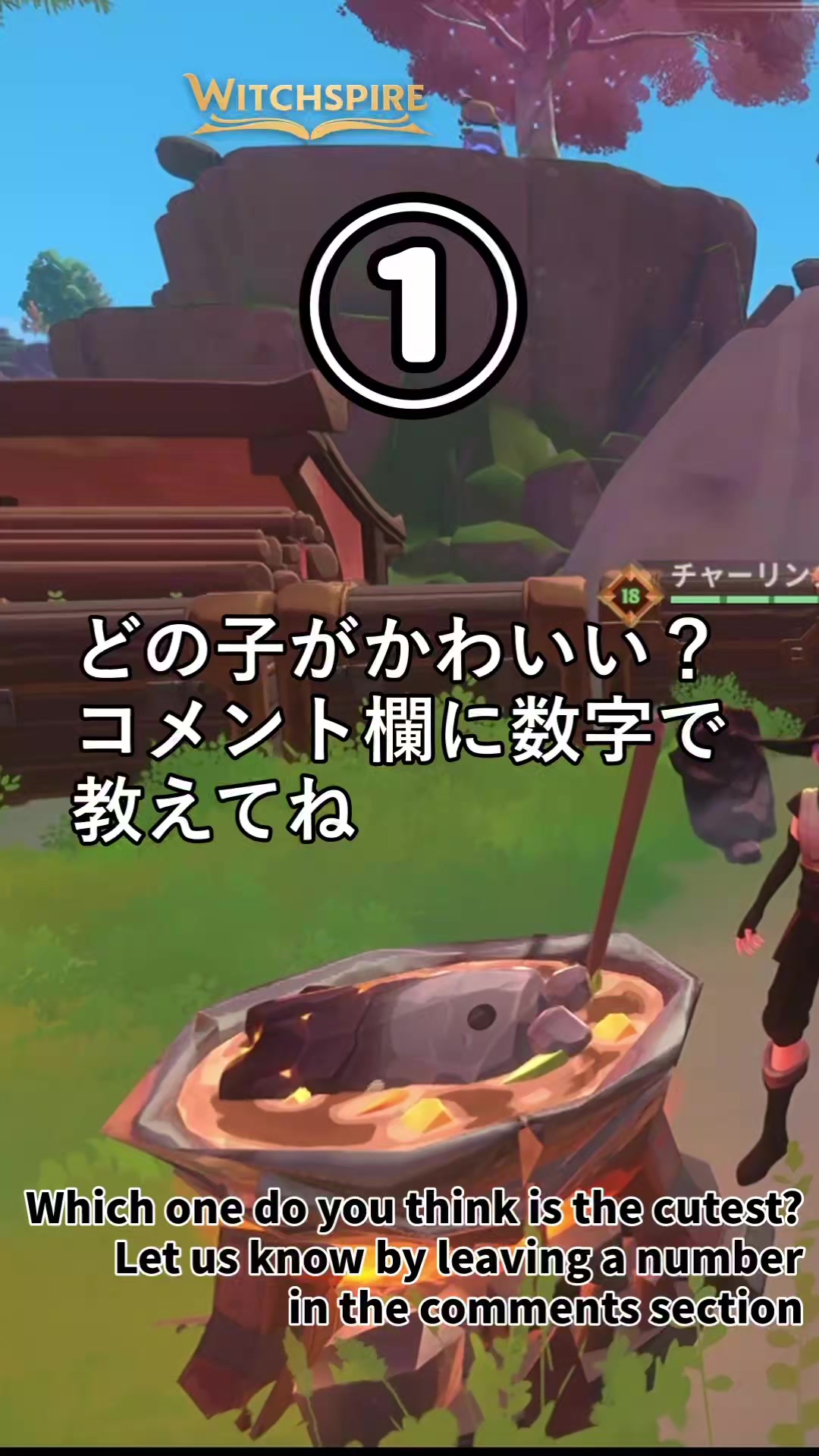 @62Papa3