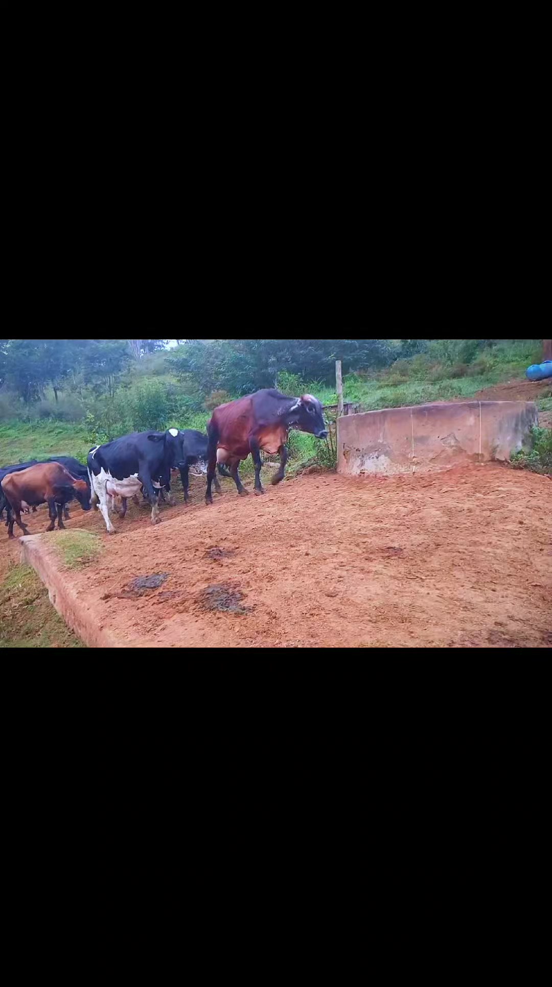 @Fazenda Santa Rosa