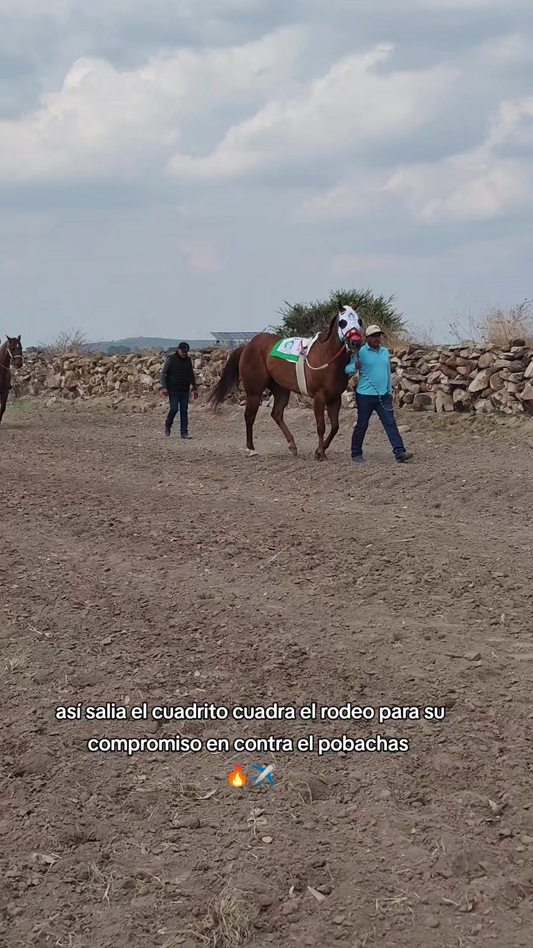 @carriles altos de jalisco🐎
