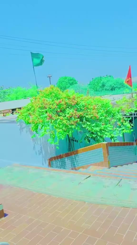 @🦅⚔️جیلا 🥷شاہ ☠️💥🦅