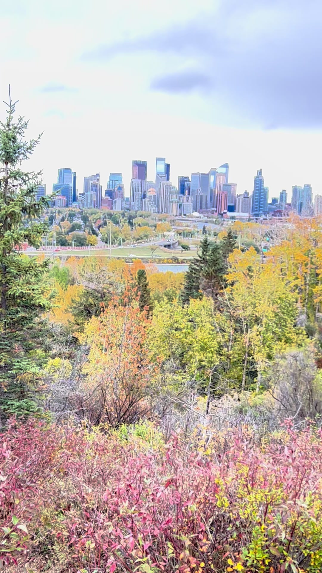 @pramodnegi06🇨🇦