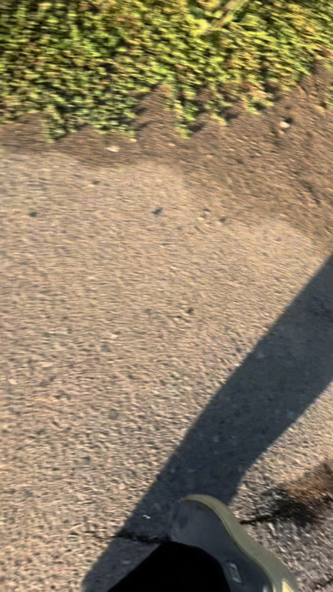 @𝐕𝐋𝐀𝐃 𝐊𝟕