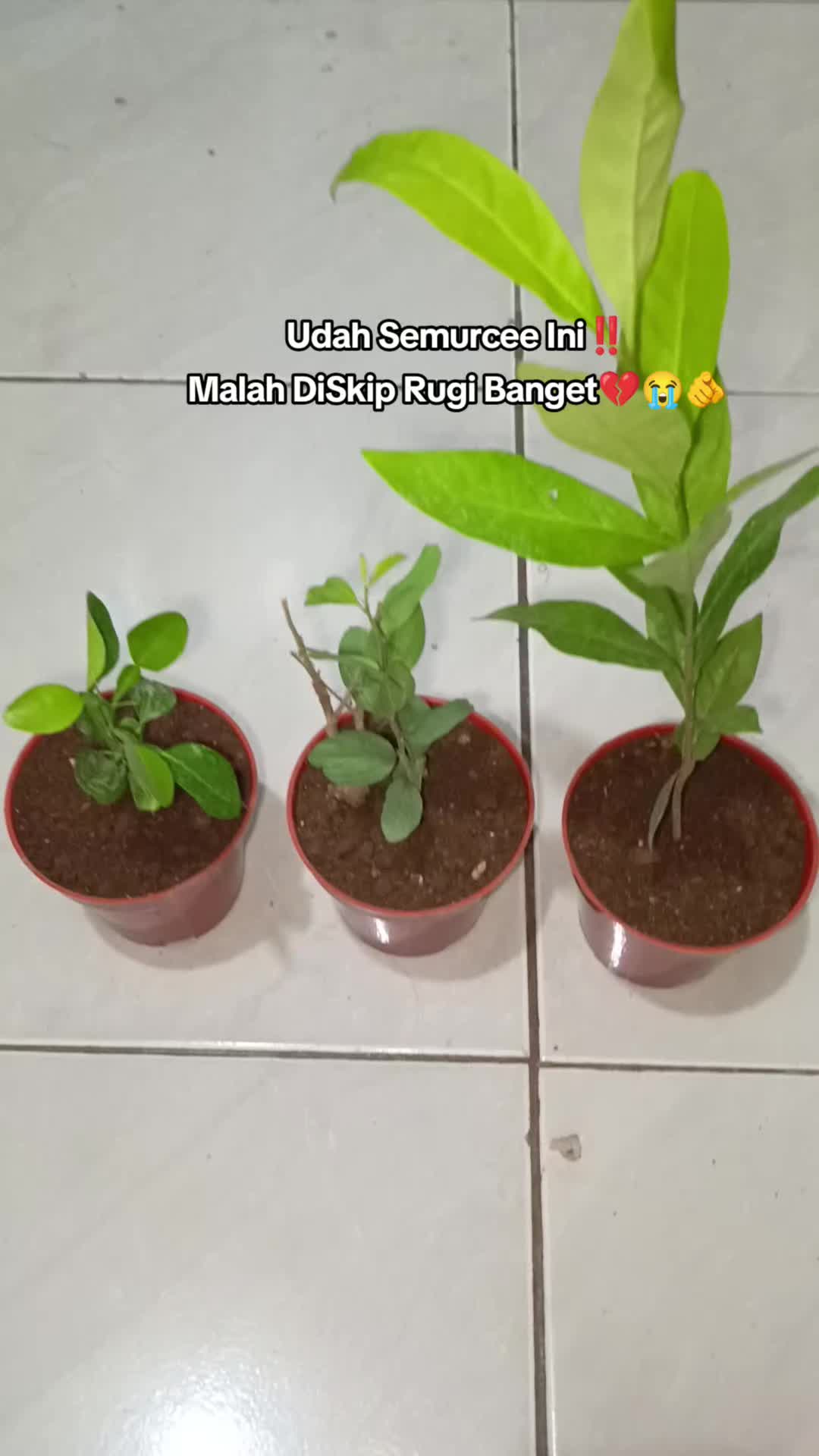 @Pejuang Garis Dua🦋🫶🫰🥀