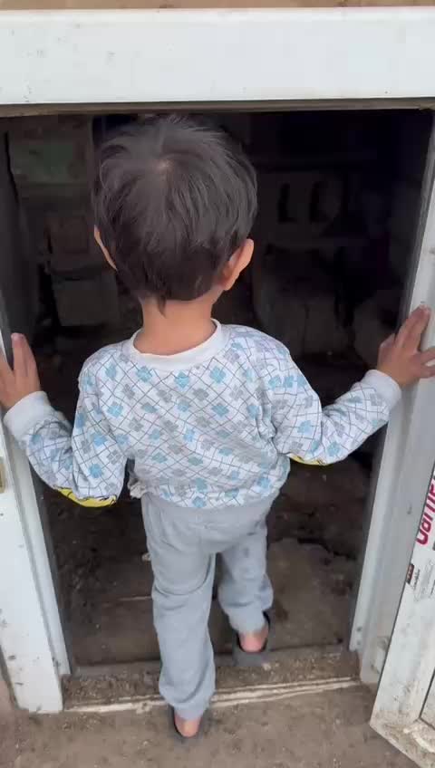 @Aziz Abukan