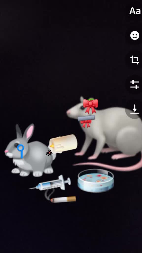 @MOBY🐭✔️🐰❌🐶❌🐱❌ ME✔️YOU❌