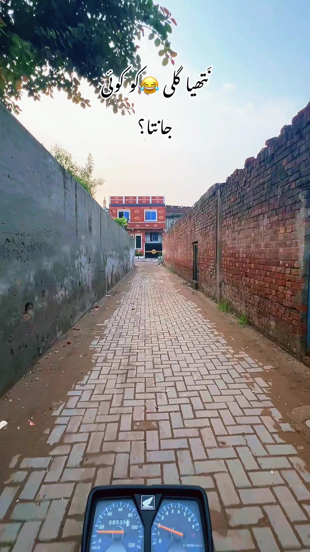 @Mr buTt288