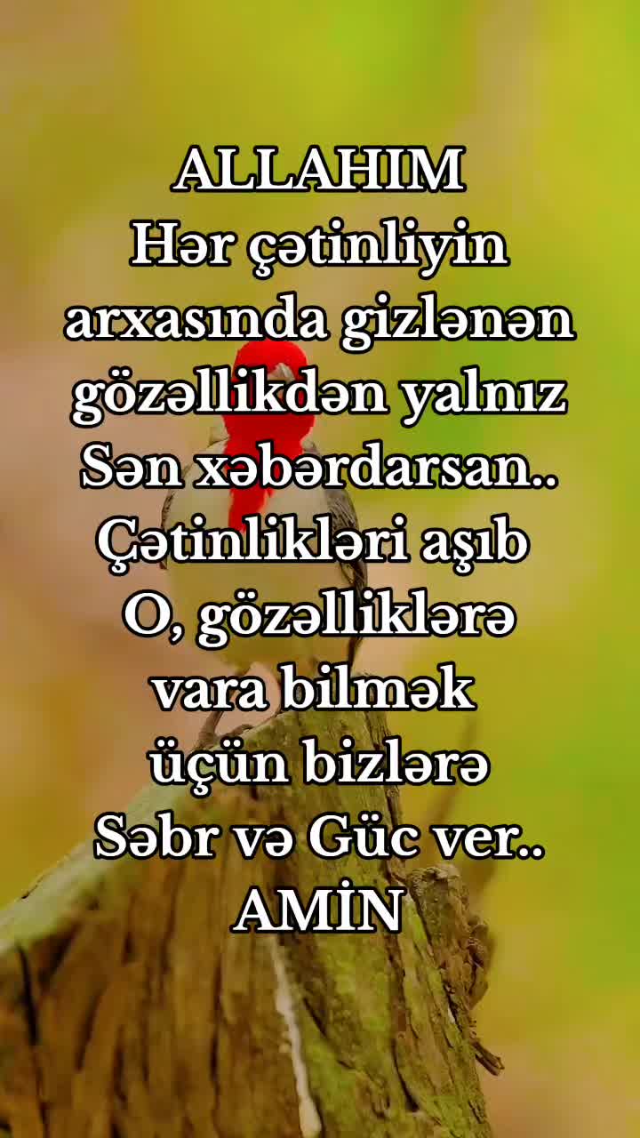 @DİNİM İSLAM