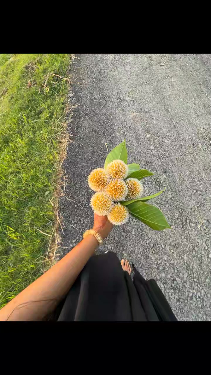 @M>>🥹💗
